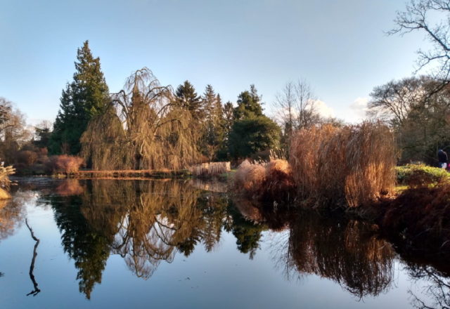 Arboretum Kalmhout