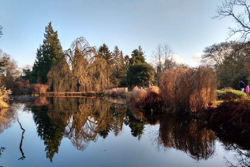 Arboretum Kalmhout