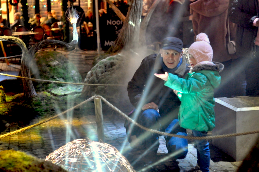 Magisch Bos Antwerpen