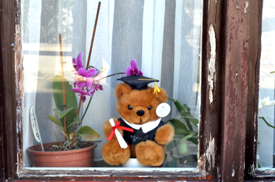 Berenjacht Antwerpen