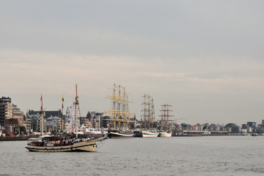 Tall Ships Races- Antwerpen