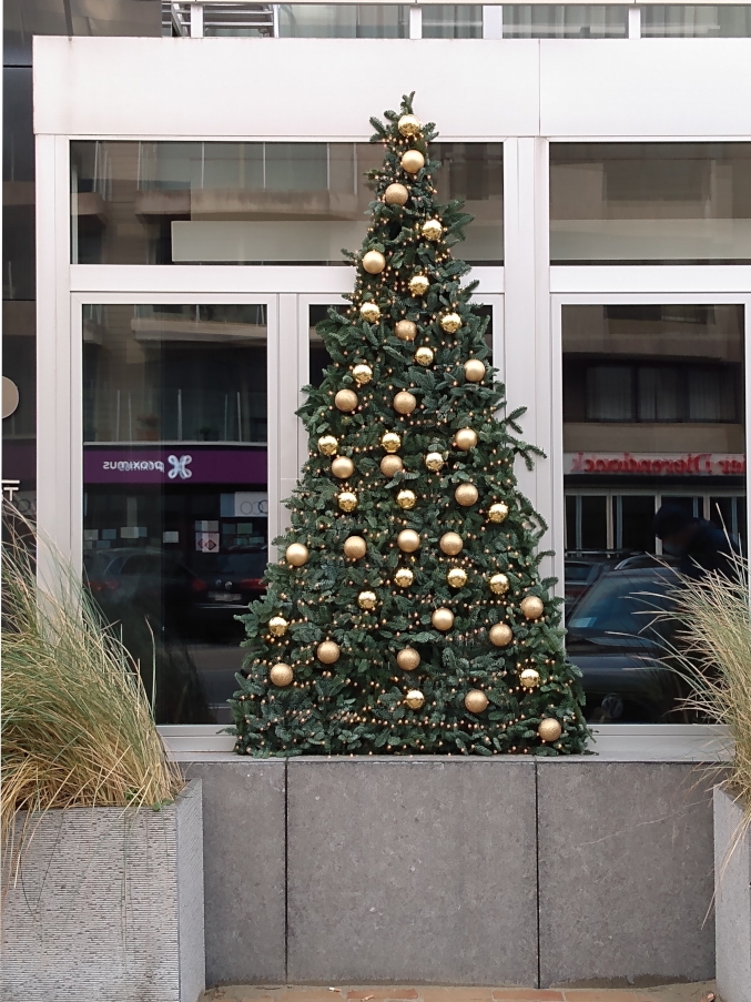 Świąteczne iluminacje w Nieuwpoort