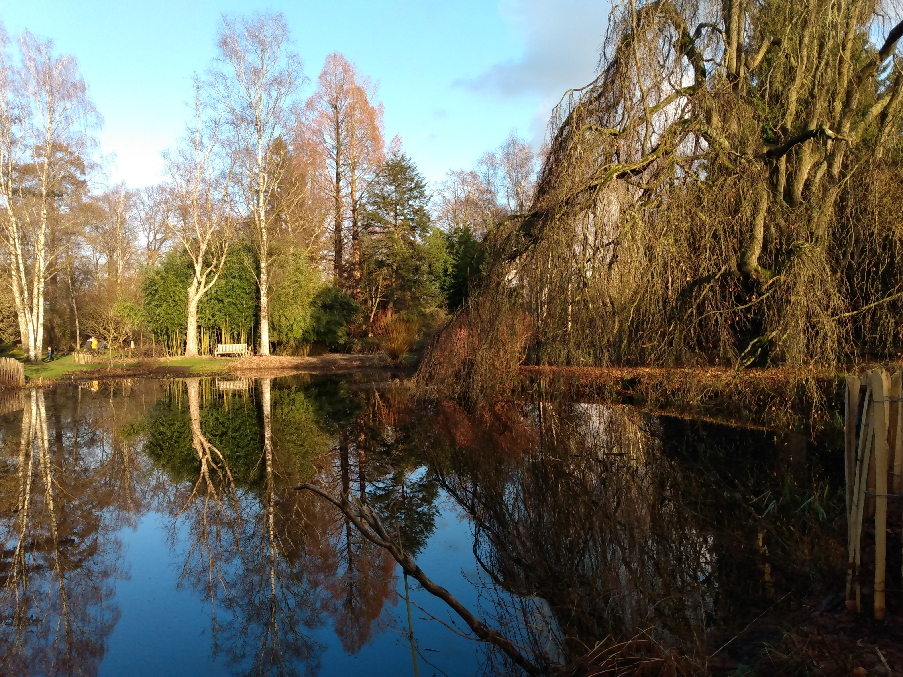 Arboretum Kalmhout - Grote Vijver - Wielki Staw