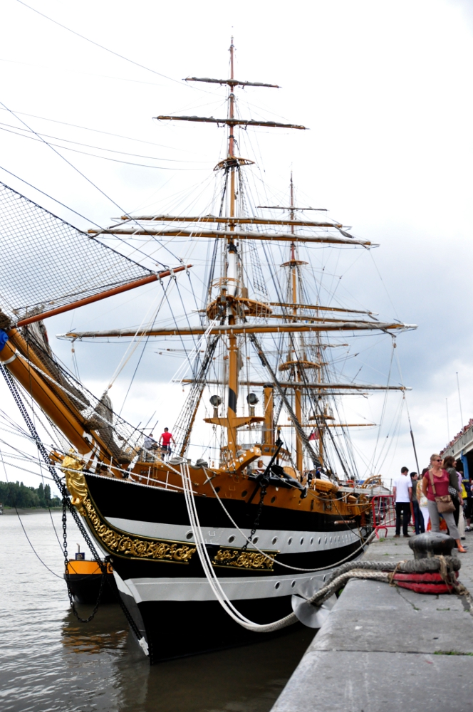 Amerigo Vespucci - lewa burta