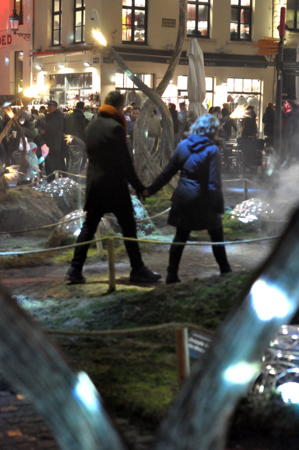 Magisch Bos Antwerpen