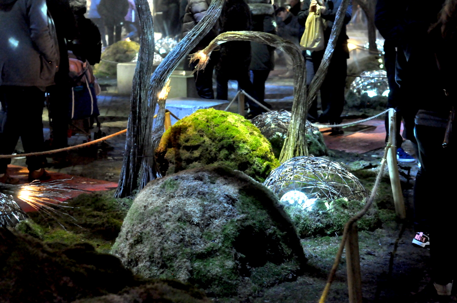 Magisch Bos Antwerpen