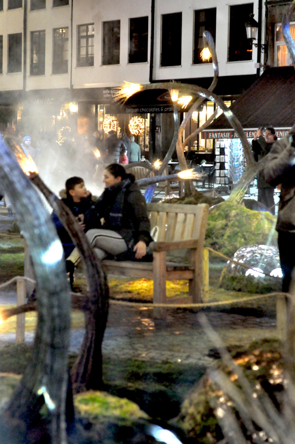 Magisch Bos Antwerpen