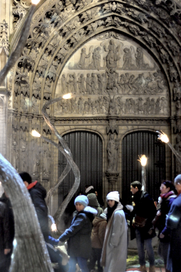 Magisch Bos Antwerpen