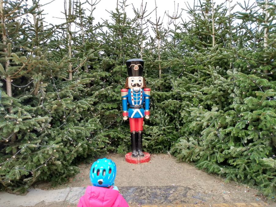 Świąteczne iluminacje w Nieuwpoort