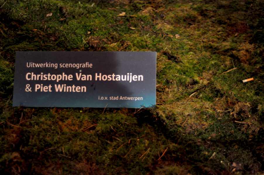 Magisch Bos Antwerpen