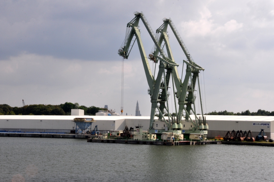 Żurawie w Haven Antwerpen