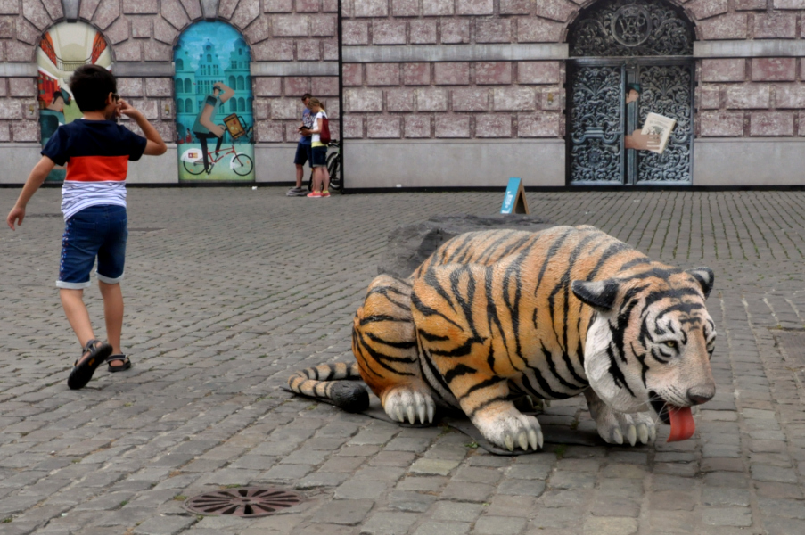 Tygrys na Grote Markt