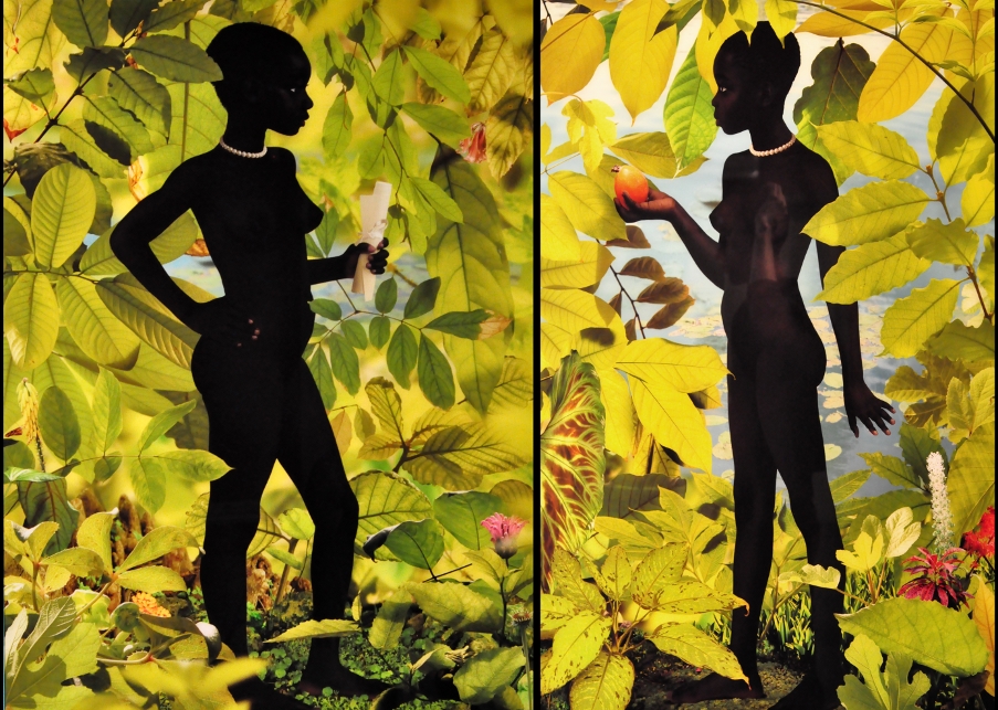 Ruud van Empel