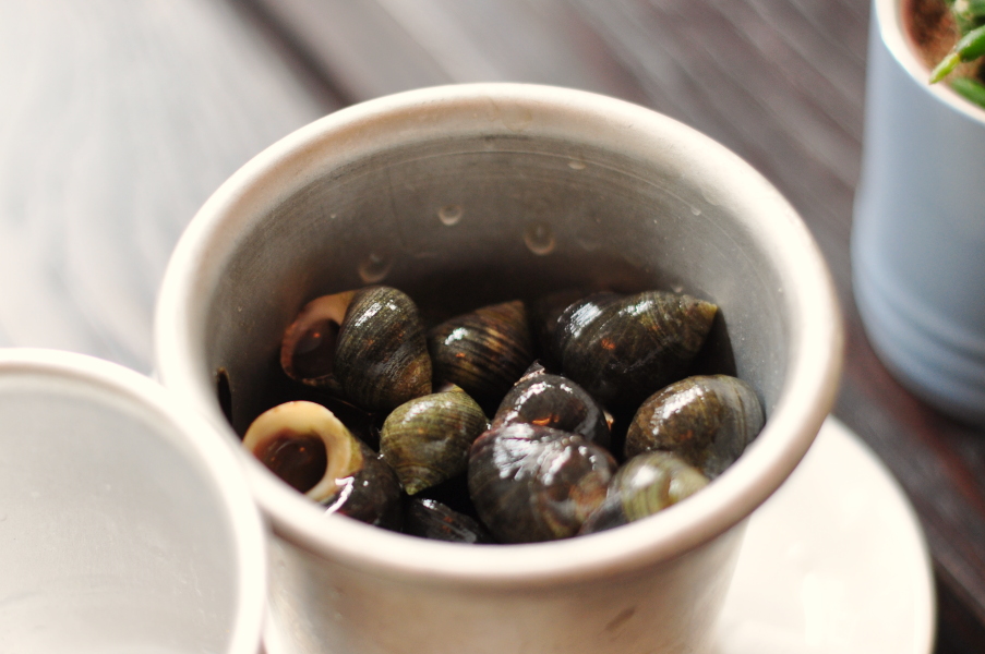 Escargot w restauracji De Rooden Hoed Antwerpen