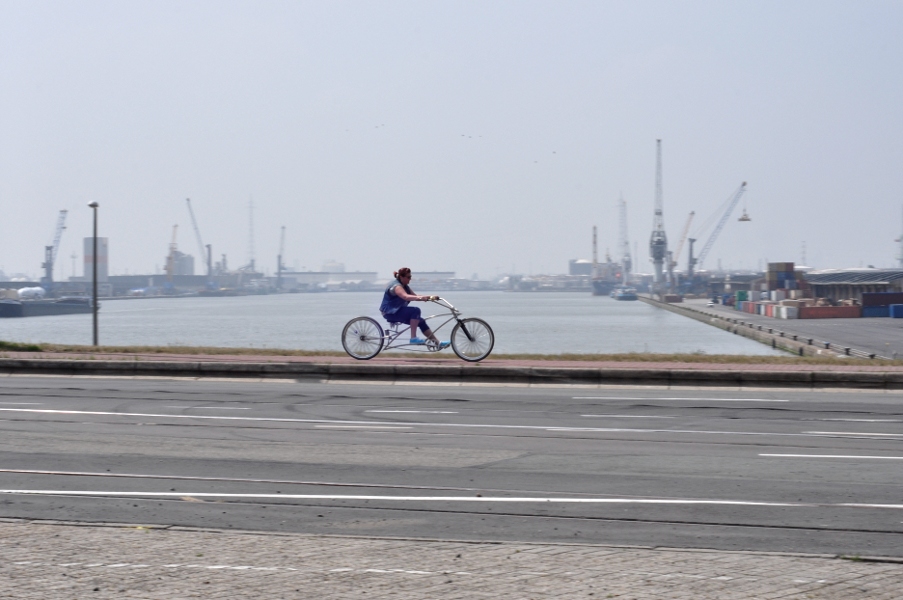 Rower Lowrider w Haven Antwerpen