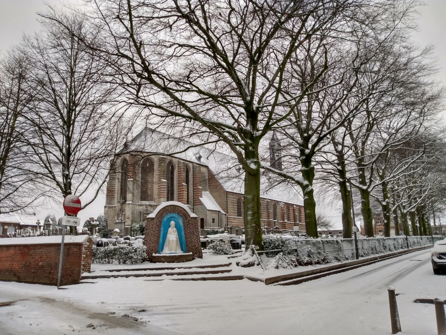 Zima w Antwerpii (Zandvliet)