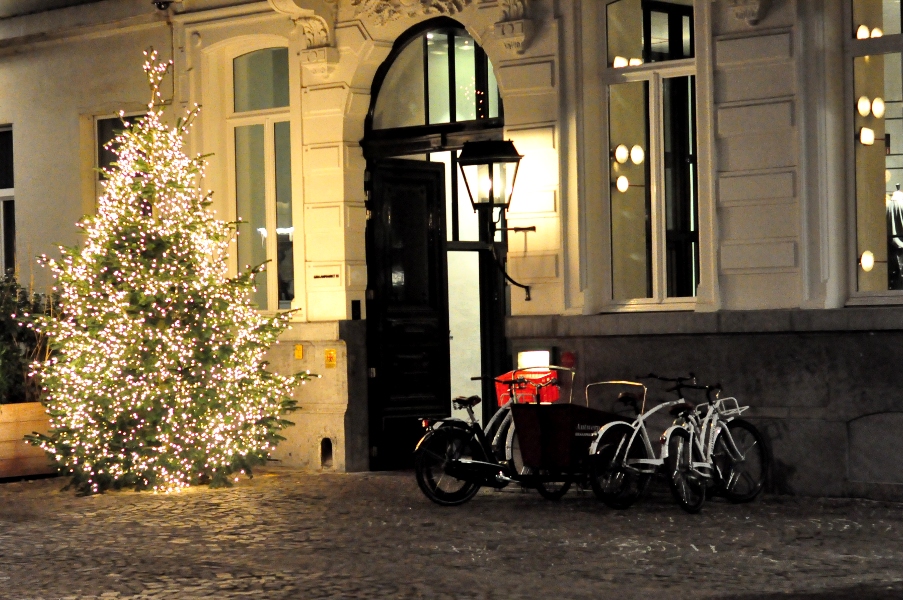 Centrum Antwerpii - bożonarodzeniowa choinka