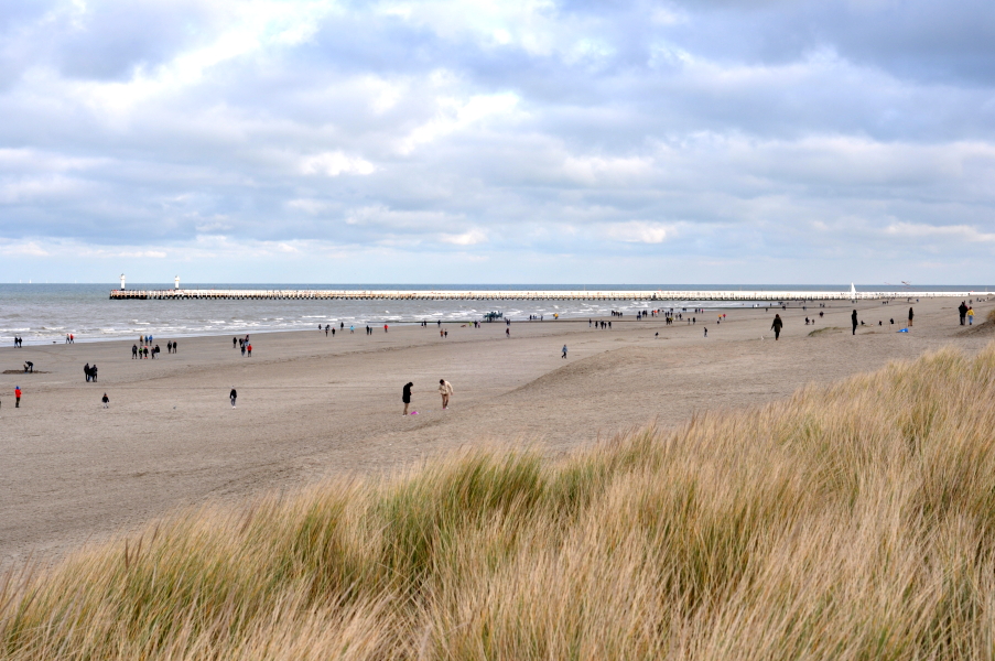 Nieuwpoort - plaża