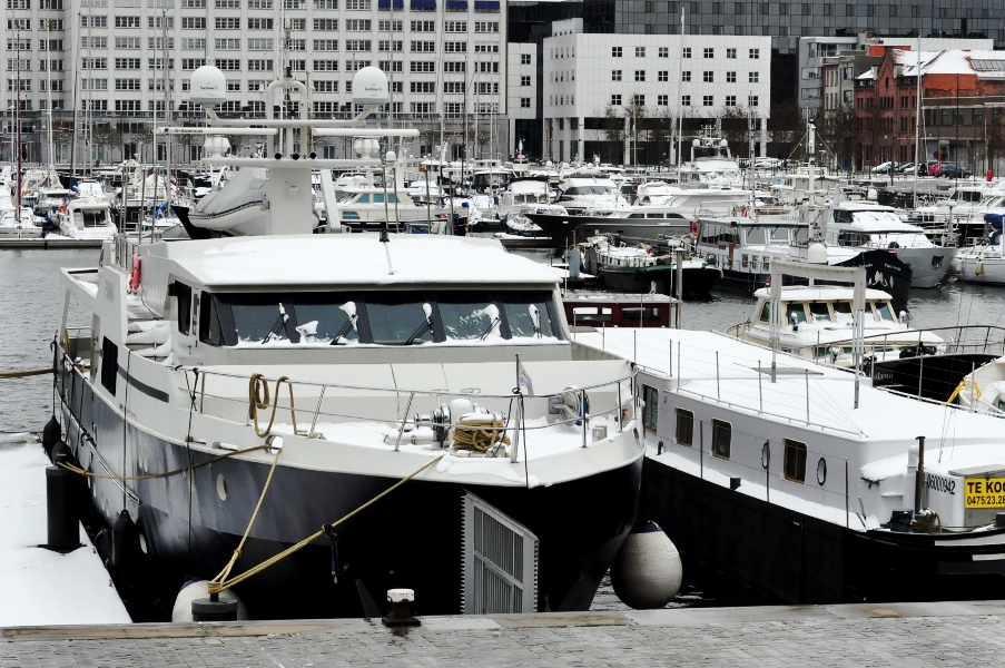 Willemdok w Antwerpii