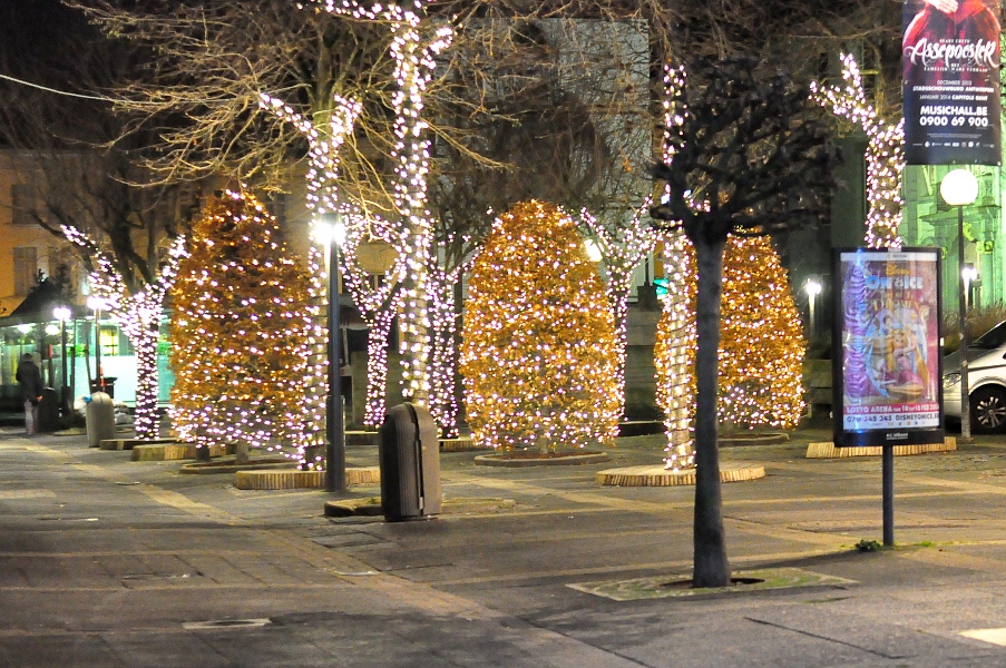 Oświetlone drzewa na ulicy Wapper