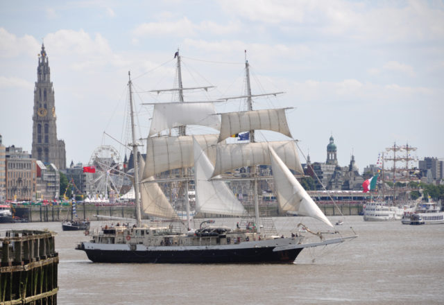 The Tall Ships’ Races w Antwerpii