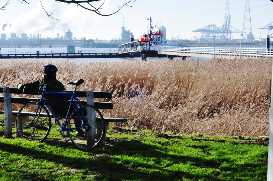 Lillo - widok na Schelde