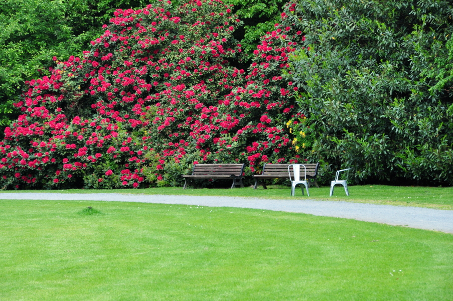 Middelheimmuseum Antwerpen