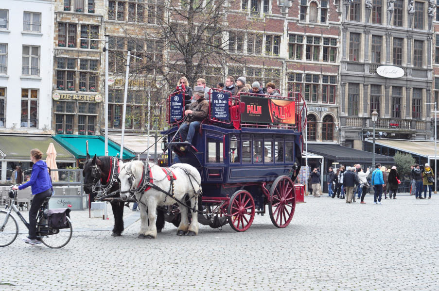 Dyliżans na Grote Markt w Antwerpii