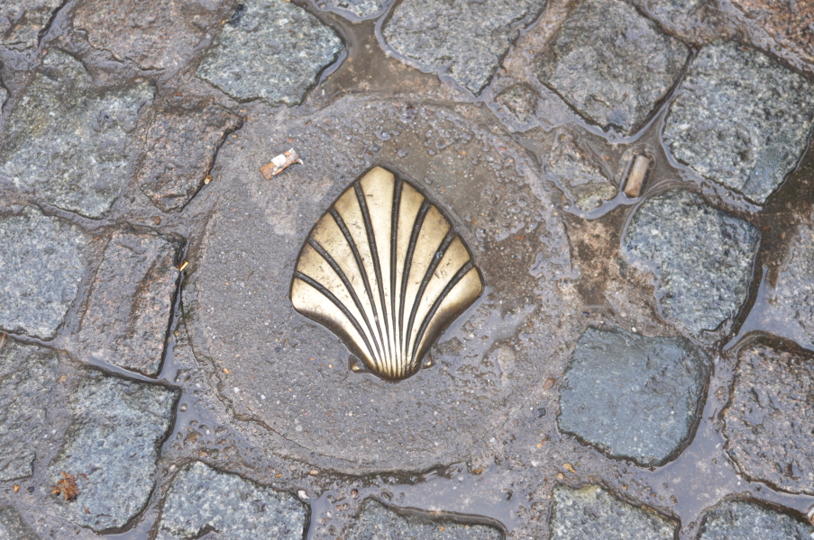 Muszla na szlaku św. Jakuba w Antwerpii